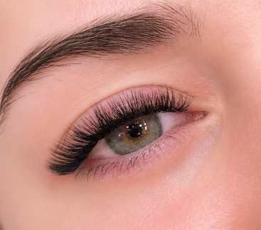 Lashes and Brows
